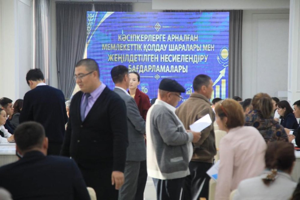 Кәсіпкерлерге қаржылай қолдау көрсету мәселелері бойынша кездесу өтті — Фотосурет 2