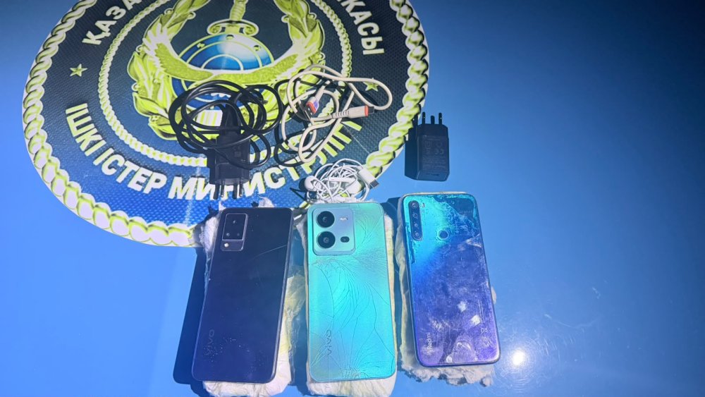 ЖАМБЫЛ ОБЛЫСЫНДА ҚАЖ МЕКЕМЕСІНЕ ТЫЙЫМ САЛЫНҒАН ЗАТТАРДЫ ӨТКІЗУ ӘРЕКЕТІНІҢ ЖОЛЫ КЕСІЛДІ