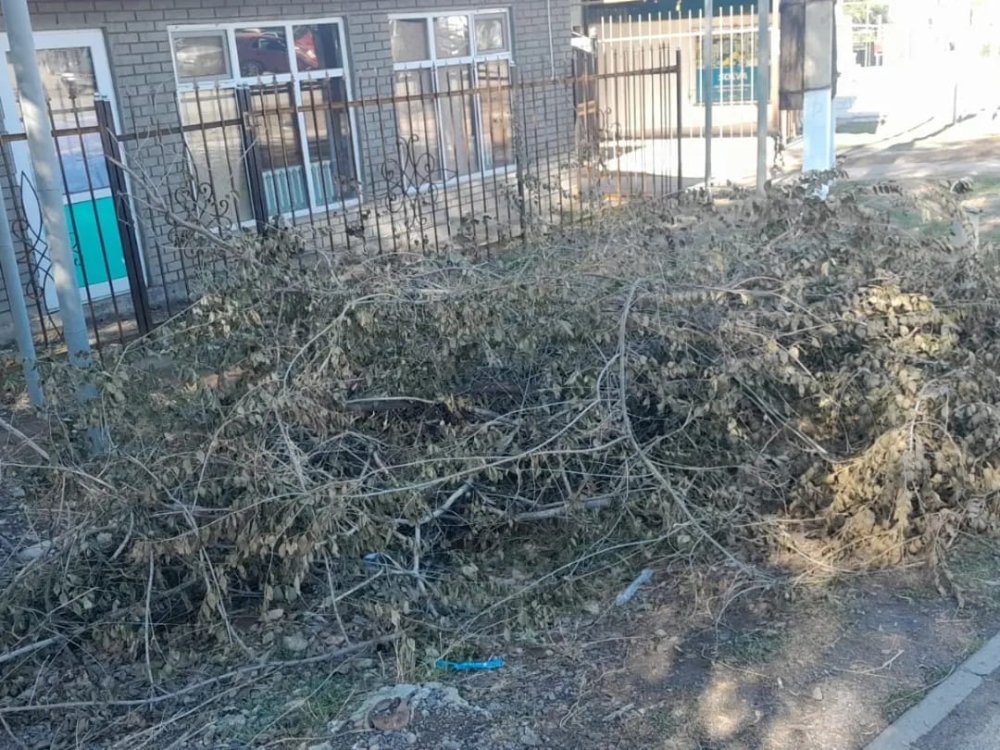 Жеке кәсіпкерлерге тазалық бойынша ескерту берілді — Фотосурет 3