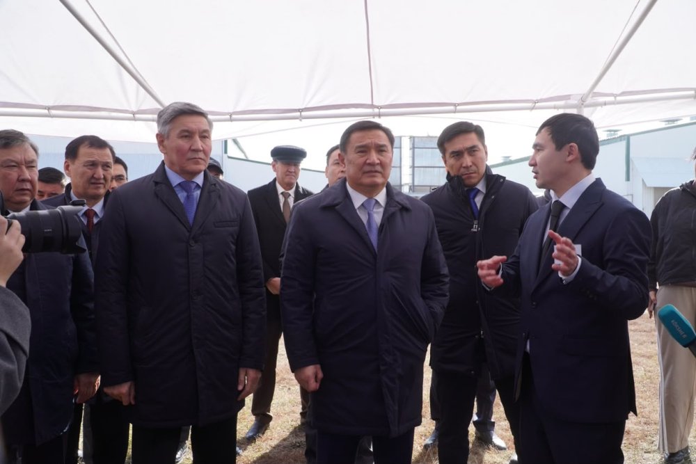 «Ақкөл Құс» құс фабрикасы жылына 200 млн жұмыртқа өндіретін болады — Фотосурет 2