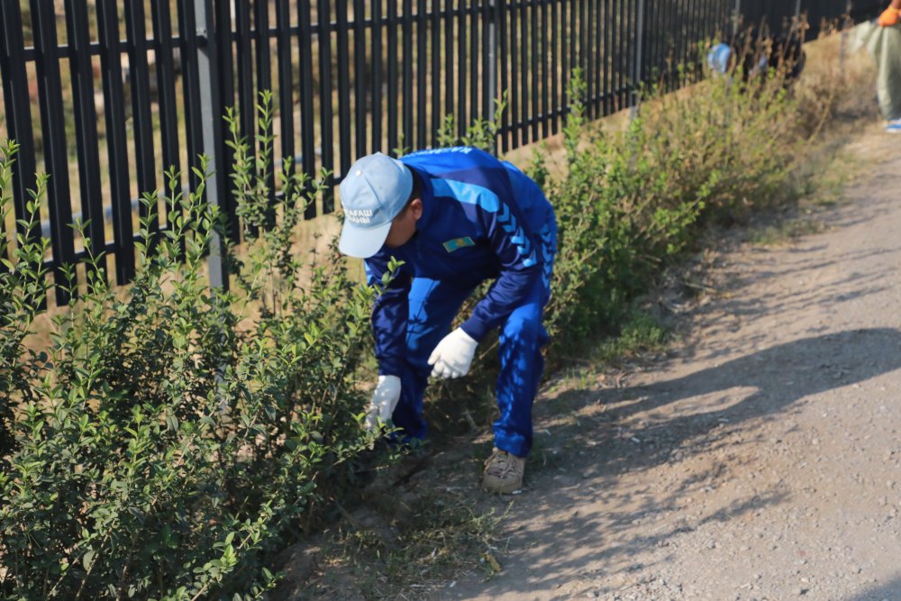 ТАЗА ҚАЗАҚСТАН: САРЫАҒАШ АУДАНЫНДА АУҚЫМДЫ СЕНБІЛІК ӨТТІ — Фотосурет 4