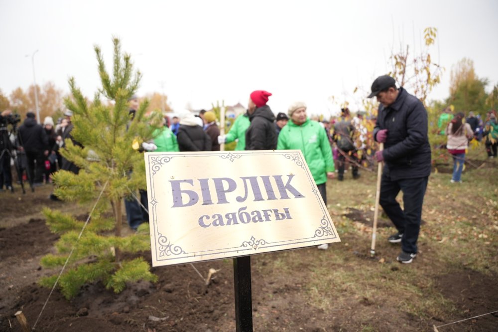 АҚМОЛА ОБЛЫСЫНДА «БІРЛІК» САЯБАҒЫ АШЫЛДЫ — Фотосурет 3