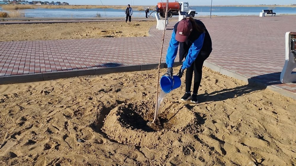 Шалқар көлі жағалауында сенбілік жұмыстары жүргізілді — Фотосурет 3