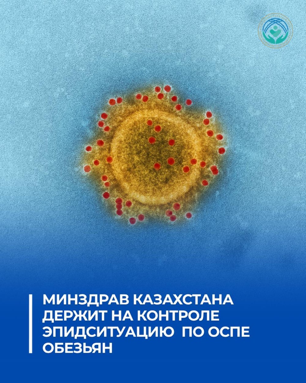 ҚАЗАҚСТАННЫҢ ДЕНСАУЛЫҚ САҚТАУ МИНИСТРЛІГІ МАЙМЫЛ ШЕШЕГІ БОЙЫНША ЭПИДЕМИОЛОГИЯЛЫҚ ЖАҒДАЙДЫ БАҚЫЛАУДА