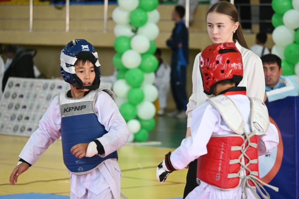 ТАЭКВАНДОДАН АУДАННЫҢ АШЫҚ БІРІНШІЛІГІ ӨТТІ — Фотосурет 24