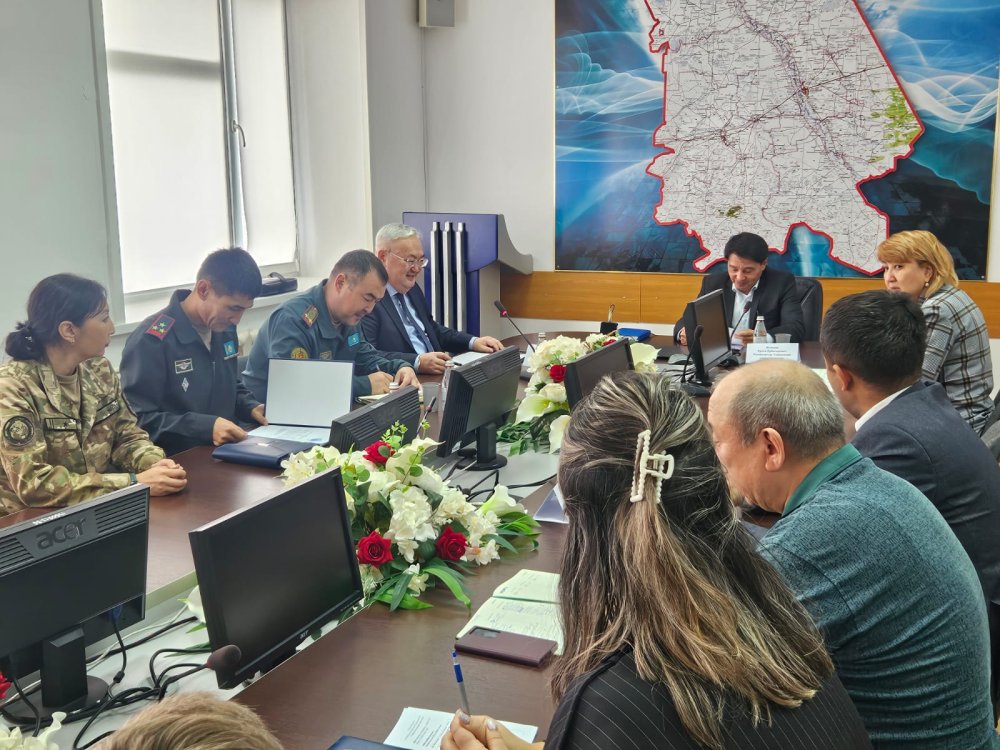 Әскери-дәрігерлік комиссиялардың жұмысын жетілдіру мәселелері бойынша кеңес — Фотосурет 3