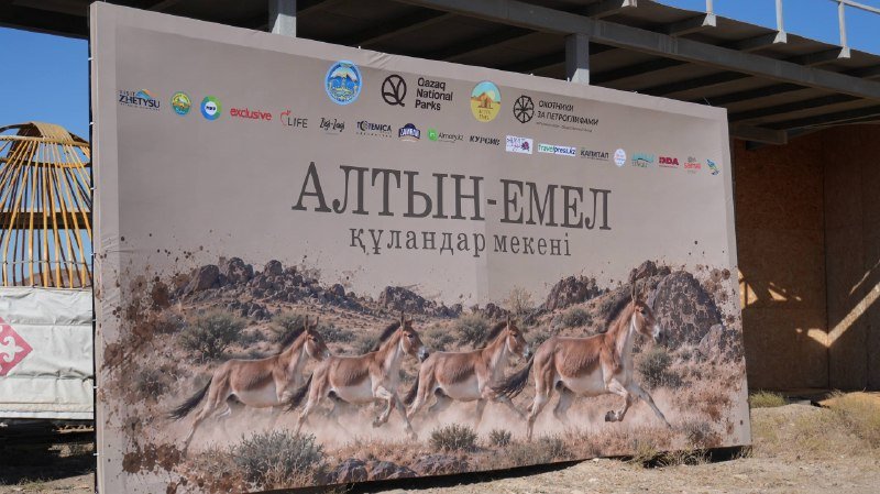 «Алтын-Емел – құландар мекені»: Ұлы дала табиғаты мен мәдениеті тоғысқан фестиваль — Фотосурет 1