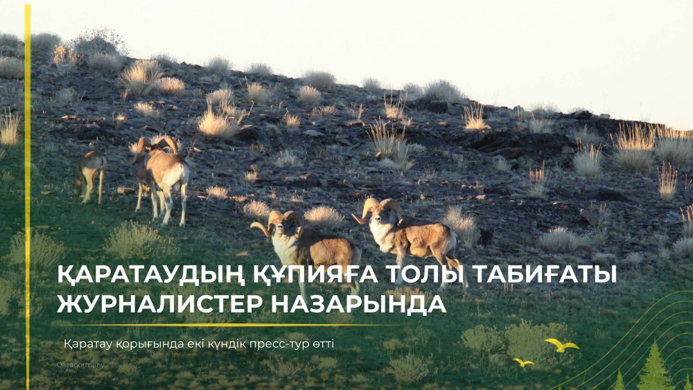 Қаратау қорығының бірегей табиғаты журналистер назарында — Фотосурет 1