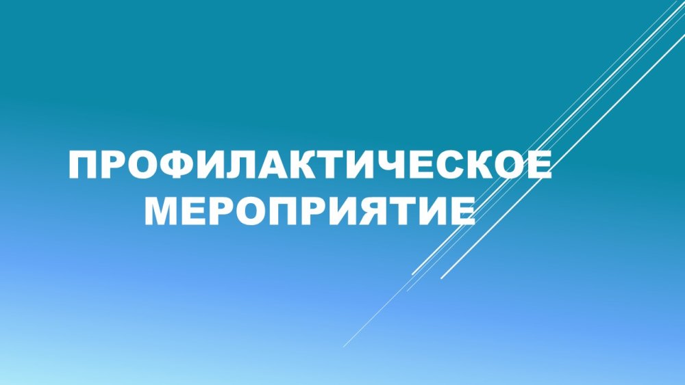 Веселоподол ауылдық округінде профилактикалық іс-шара өткізілді — Фотосурет 1