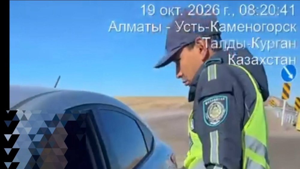 Көршілес өңірдің 20 жастағы тұрғыны жалған мемлекеттік нөмірмен көлік басқарған — Фотосурет 1