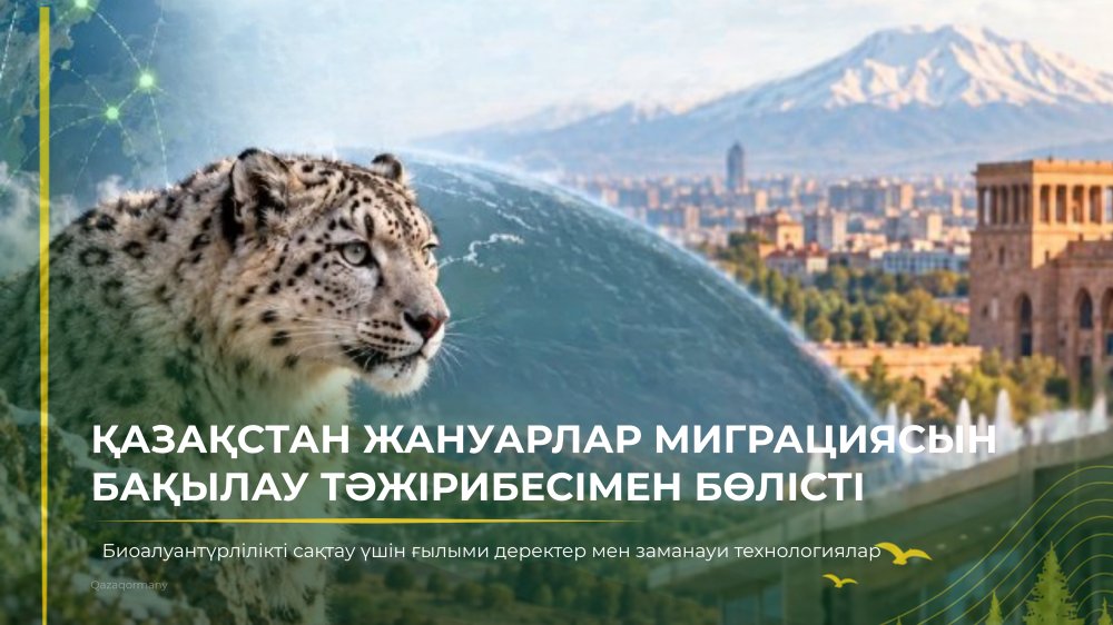 Казахстан представил опыт использования данных о миграции животных для сохранения биоразнообразия на КС-17 — Фотосурет 1