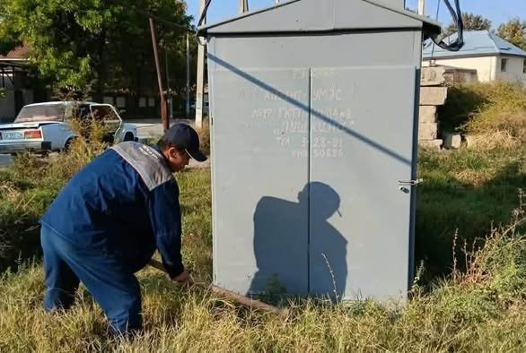 ТҮРКІСТАН ОБЛЫСЫНДА «АСАРЛАТУ» ЭКОЛОГИЯЛЫҚ ІС-ШАРАСЫНА 50 МЫҢНАН АСТАМ АДАМ АТСАЛЫСТЫ — Фотосурет 3