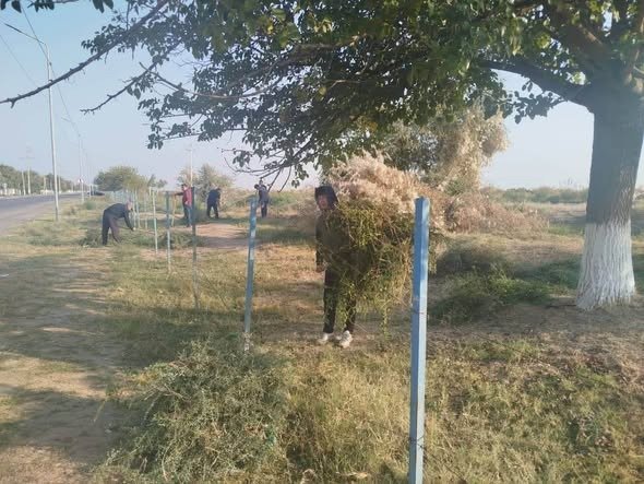 ТҮРКІСТАН ОБЛЫСЫНДА «АСАРЛАТУ» ЭКОЛОГИЯЛЫҚ ІС-ШАРАСЫНА 50 МЫҢНАН АСТАМ АДАМ АТСАЛЫСТЫ — Фотосурет 2