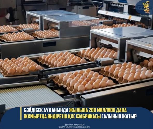 БӘЙДІБЕК АУДАНЫНДА ЖЫЛЫНА 200 МИЛЛИОН ДАНА ЖҰМЫРТҚА ӨНДІРЕТІН ҚҰС ФАБРИКАСЫ САЛЫНЫП ЖАТЫР — Фотосурет 1