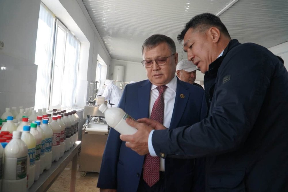 БӘЙДІБЕК: АҚБАСТАУДА СҮТ ӨНДІРІСІН ДАМЫТУҒА ЖАҢА МҮМКІНДІКТЕР БАР — Фотосурет 1