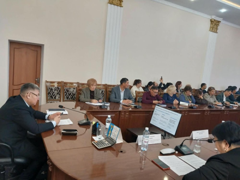 Шал Акын және Г.Мүсірепов атындағы аудандарда әлеуметтік қолдау шараларын ұсынудың жаңа тәсілдері талқыланды. — Фотосурет 5