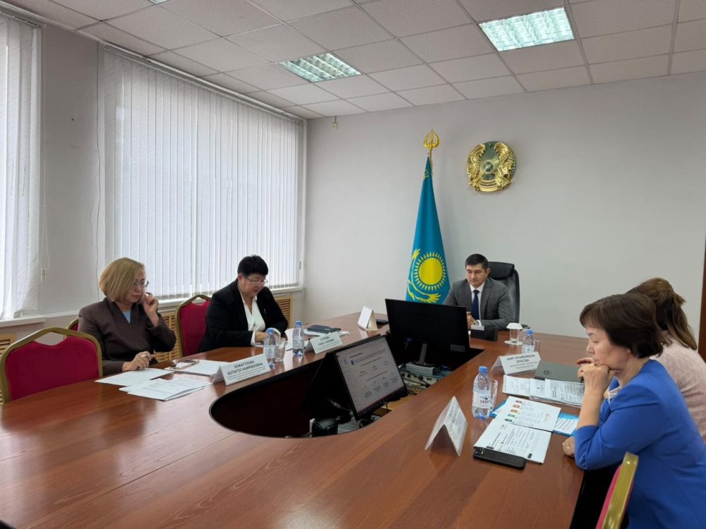 Шал Акын және Г.Мүсірепов атындағы аудандарда әлеуметтік қолдау шараларын ұсынудың жаңа тәсілдері талқыланды. — Фотосурет 1