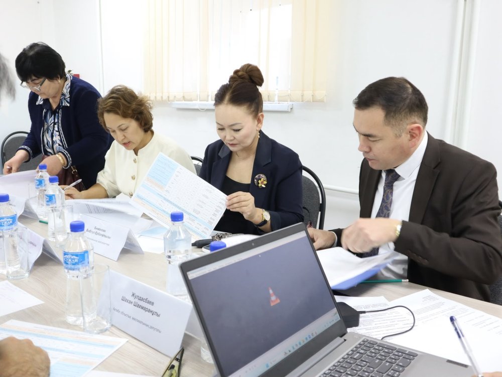 «Әлеуметтік қорғау жүйесінің үздік қызметкері және үздік әлеуметтік жоба» байқауының өңірлік кезеңі қорытындыланды — Фотосурет 2