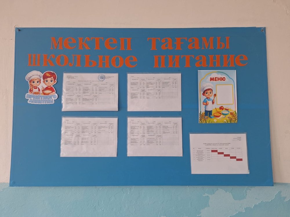 Білім алушылардың тамақтануын ұйымдастыру мониторингі — Фотосурет 2