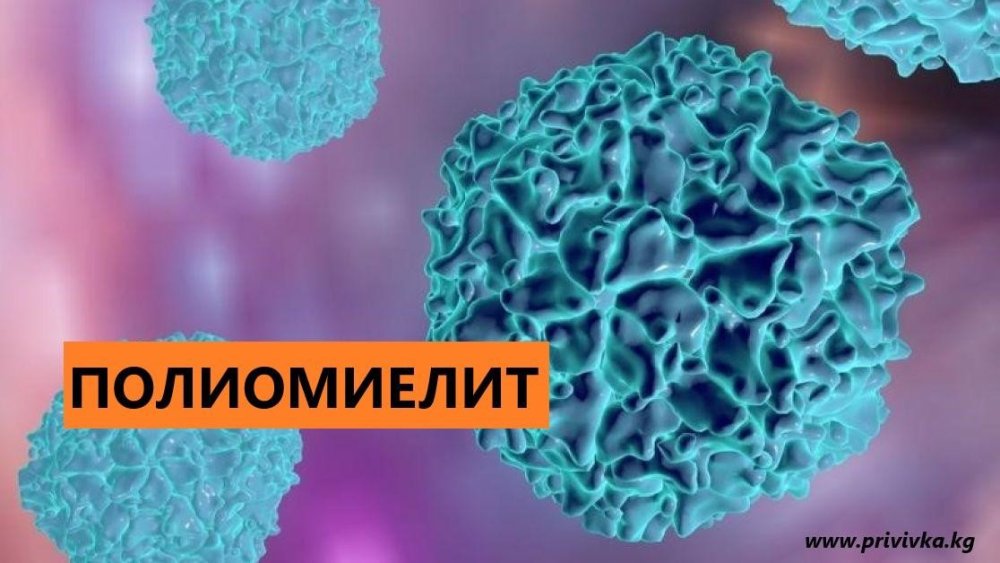 Полиомиелиттің алдын алу