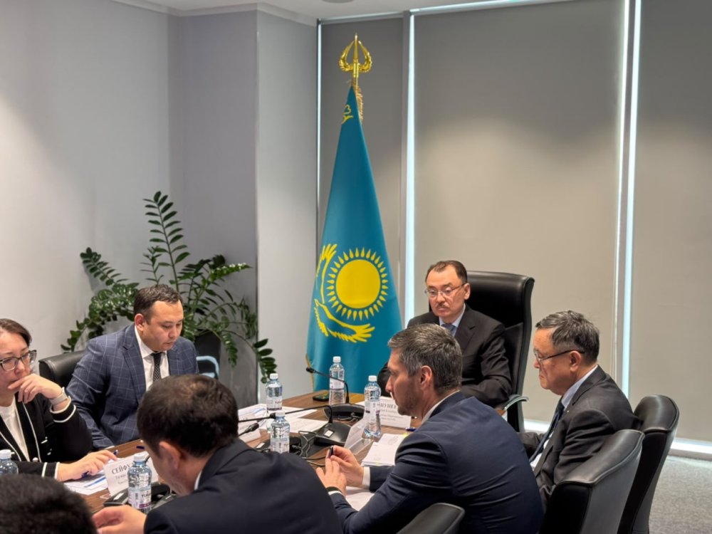 Қоғамдық кеңес атом энергетикасы саласындағы өзекті мәселелерді талқылады