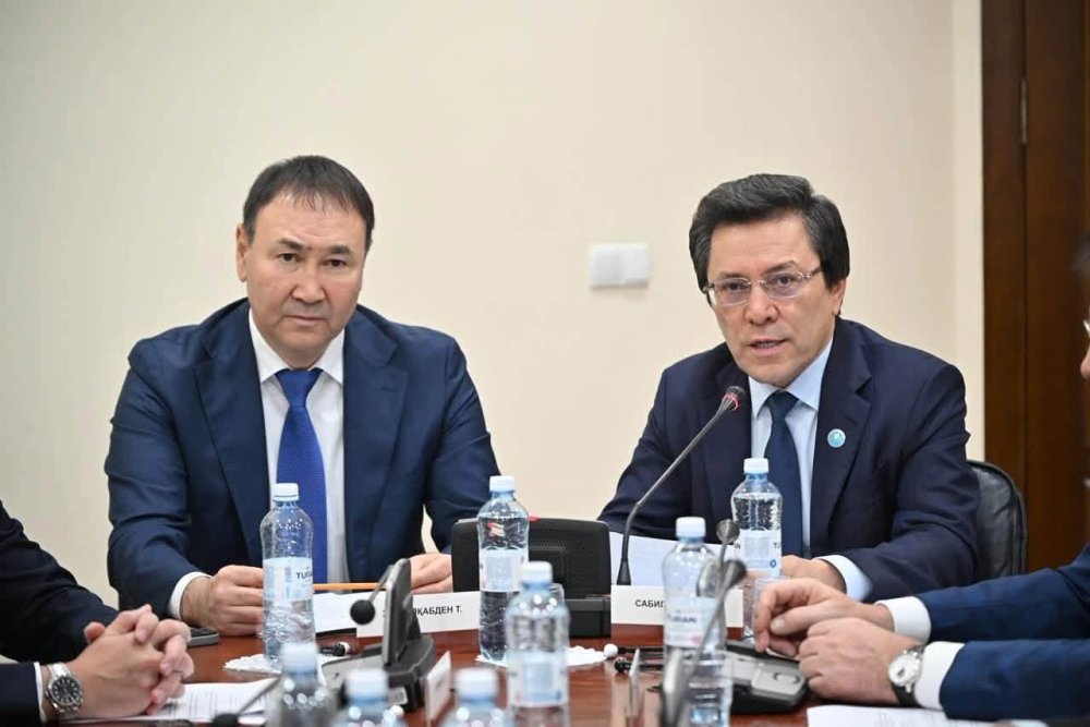 ҚАЗАҚСТАН ХАЛЫҚ КЕҢЕСІНІҢ КОМИССИЯ ОТЫРЫСЫ ӨТТІ — Фотосурет 2