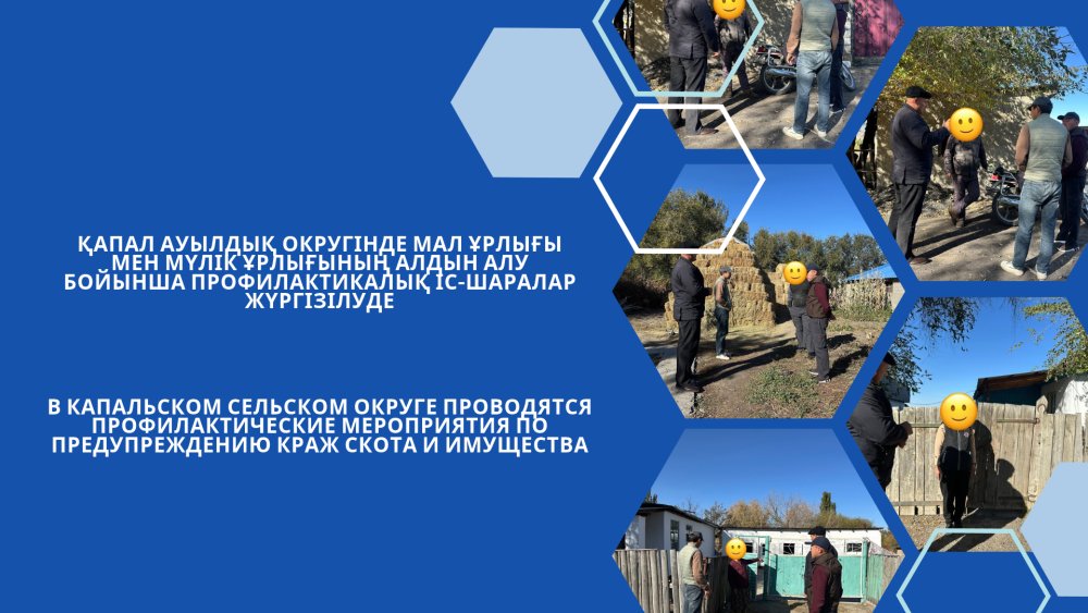 ҚАПАЛ АУЫЛДЫҚ ОКРУГІНДЕ МАЛ ҰРЛЫҒЫ МЕН МҮЛІК ҰРЛЫҒЫНЫҢ АЛДЫН АЛУ БОЙЫНША ПРОФИЛАКТИКАЛЫҚ ІС-ШАРАЛАР ЖҮРГІЗІЛУДЕ — Фотосурет 1