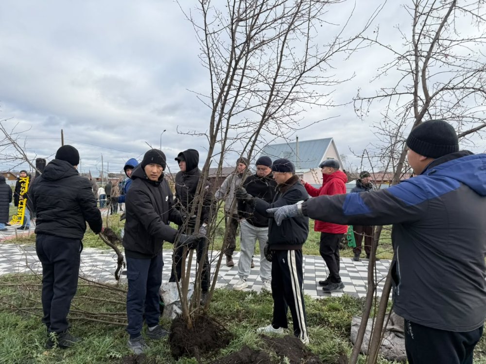 ЭКО-БАРАБАН, командалық ойын және 100 ағаш: Петропавлда «Волонтерлер аллеясы-2026» ашылды — Фотосурет 2