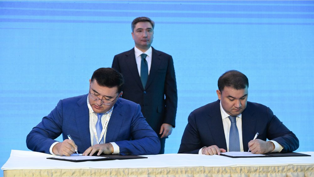 Түркістан облысында құны 111,1 млн доллар болатын ет кластері құрылады — Фотосурет 1
