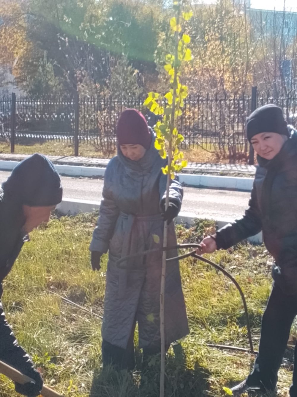 Жарқайың аудандық мәслихаты «Таза Қазақстан» экологиялық науқанын қолдады. — Фотосурет 3
