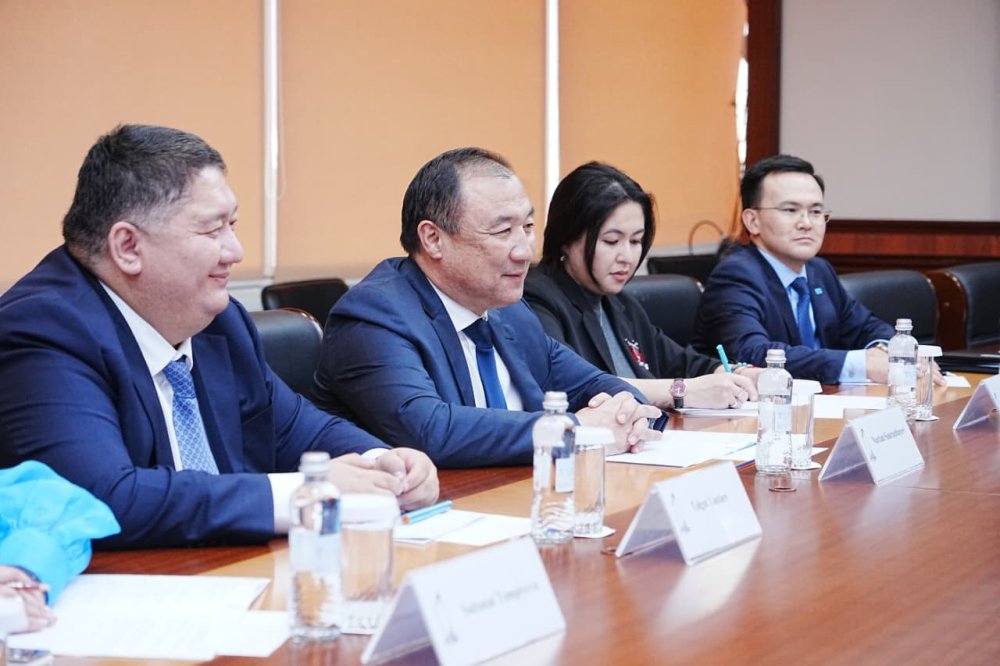 Қазақстан мен AFCAC азаматтық авиация саласындағы ынтымақтастық перспективаларын талқылады — Фотосурет 2