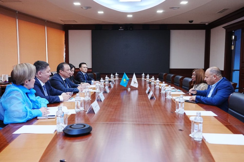 Қазақстан мен AFCAC азаматтық авиация саласындағы ынтымақтастық перспективаларын талқылады — Фотосурет 1