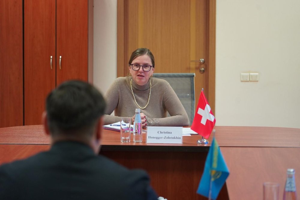 Омбудсмен мен Швейцария Елшісі адам құқықтарын қорғау саласындағы өзара іс-қимылды талқылады — Фотосурет 4