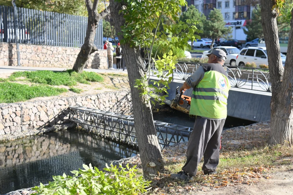 ҚОШҚАР АТА ӨЗЕНІ БОЙЫНДА ТАЗАЛЫҚ ІС-ШАРАСЫ ӨТТІ — Фотосурет 2