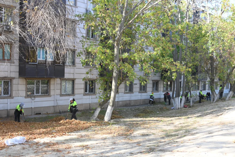 ҚОШҚАР АТА ӨЗЕНІ БОЙЫНДА ТАЗАЛЫҚ ІС-ШАРАСЫ ӨТТІ — Фотосурет 4