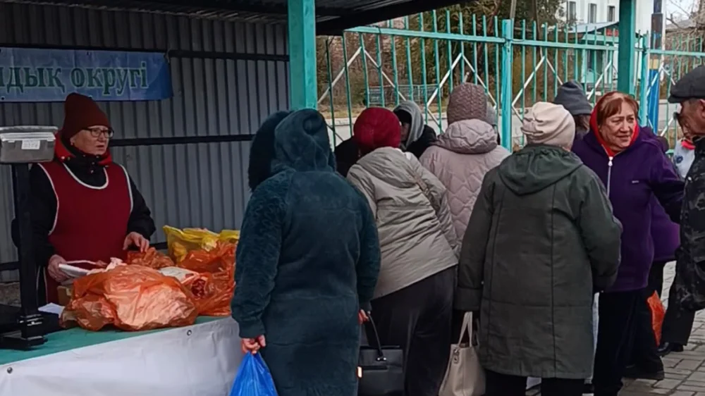 Самар ауданында ауыл шаруашылығы жәрмеңкесі өтті — Фотосурет 1