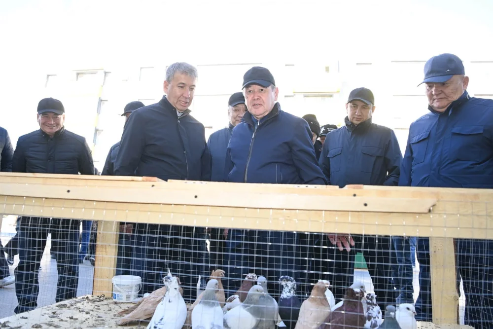 «Алтын күз – 2026»: 1200 тоннадан астам ауыл шаруашылығы өнімдері ұсынылды — Фотосурет 8