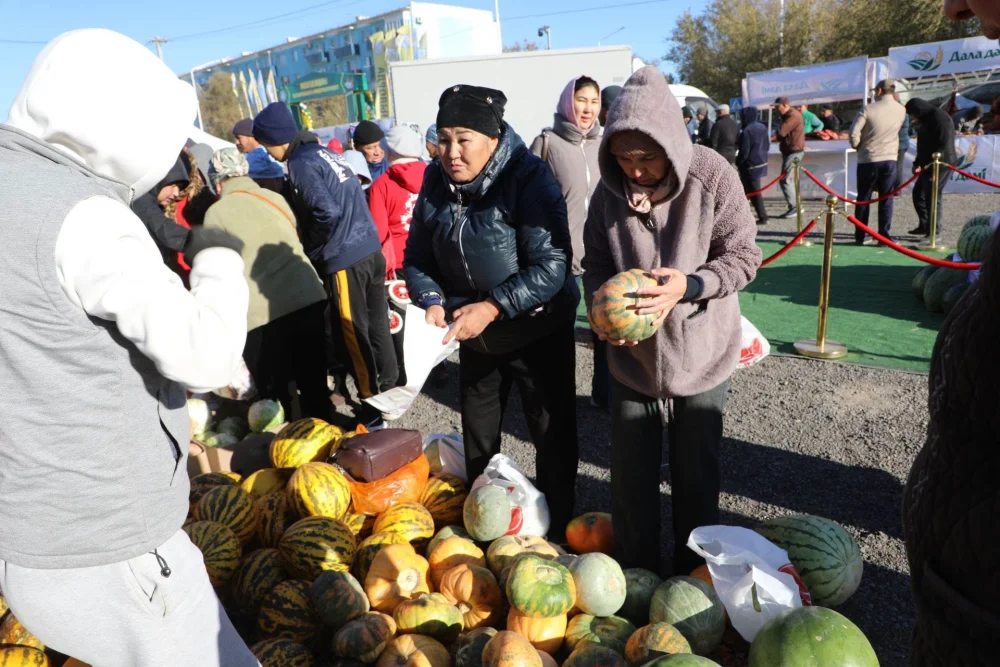 Қызылордада Жалағаш ауданының ауыл шаруашылығы жәрмеңкесі өтті — Фотосурет 5