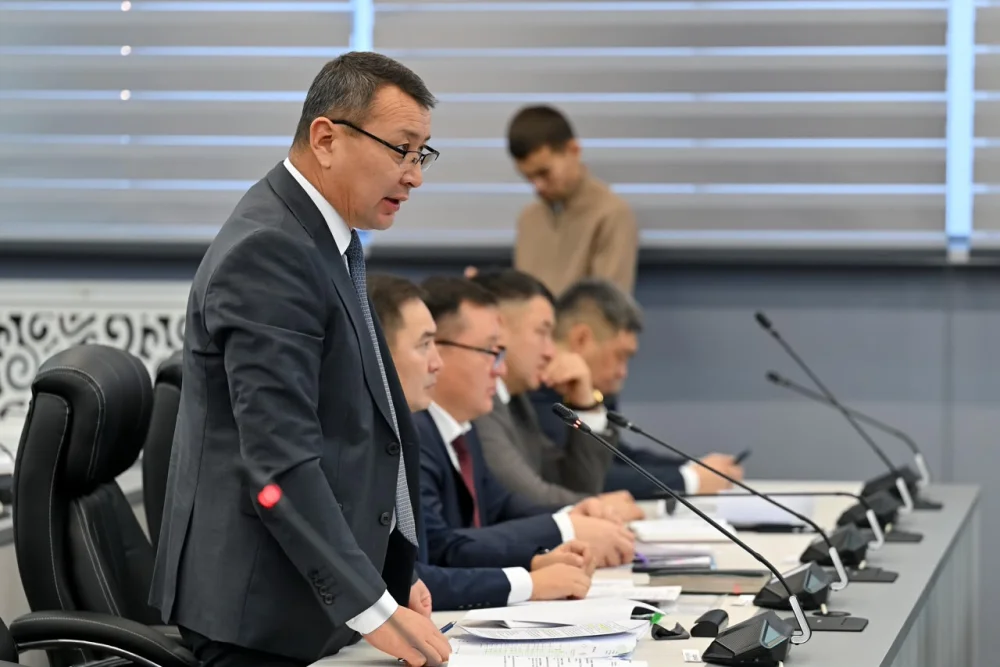 Өңірлік жұмыспен қамту картасын іске асыру және халықтың әлеуметтік осал топтарын тұрғын үймен қамтамасыз ету мәселесі қаралды — Фотосурет 11