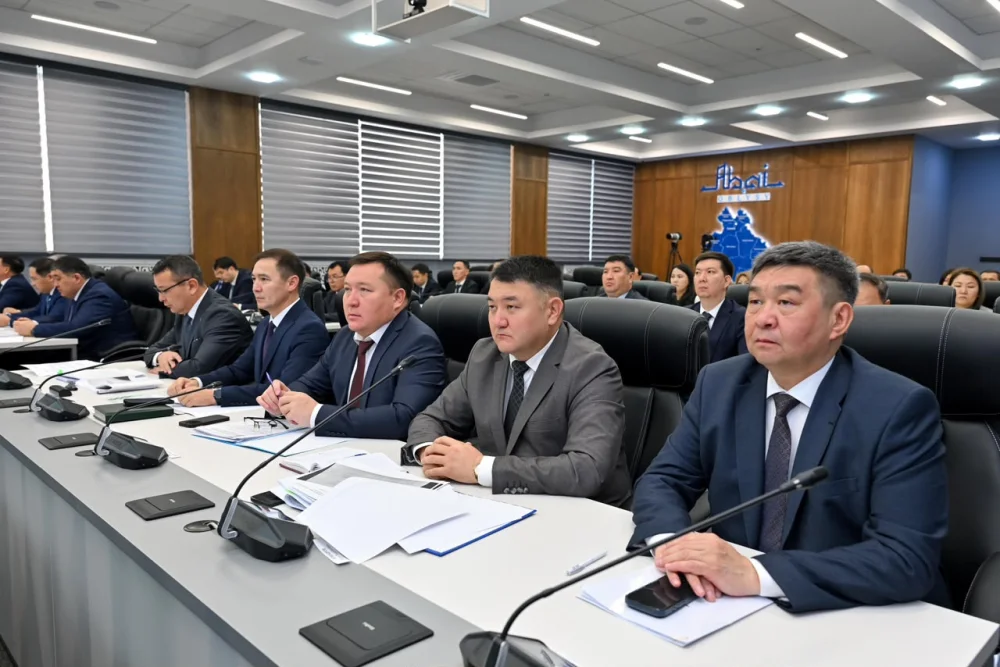 Өңірлік жұмыспен қамту картасын іске асыру және халықтың әлеуметтік осал топтарын тұрғын үймен қамтамасыз ету мәселесі қаралды — Фотосурет 10