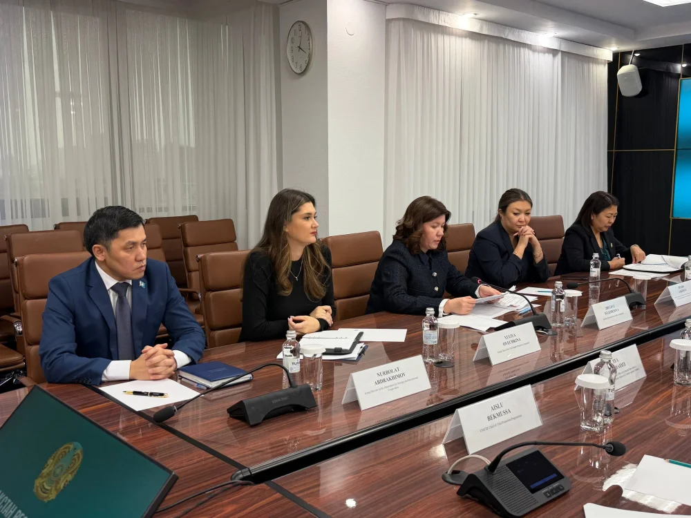 Оқу-ағарту министрі БҰҰ Бас хатшысының арнайы өкілімен кездесті — Фотосурет 2
