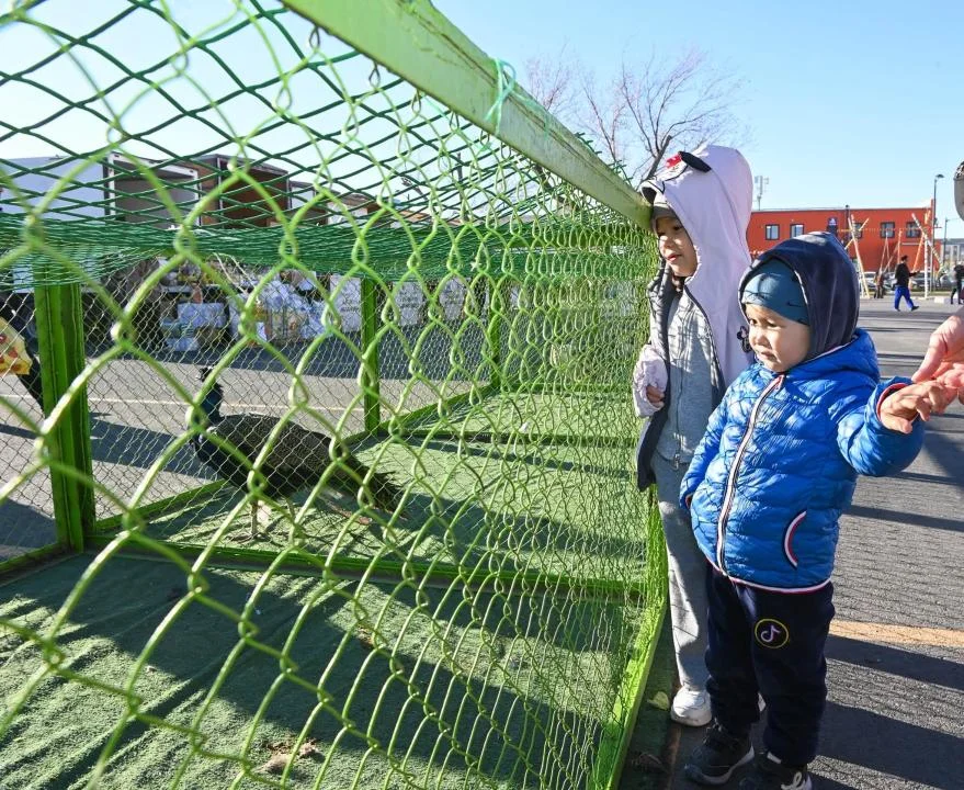 «Алтын күз – 2026»: 1200 тоннадан астам ауыл шаруашылығы өнімдері ұсынылды — Фотосурет 11