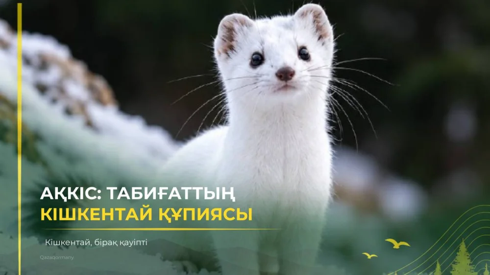 «Табиғатты таны» | Сүйкімді түріне алданба!