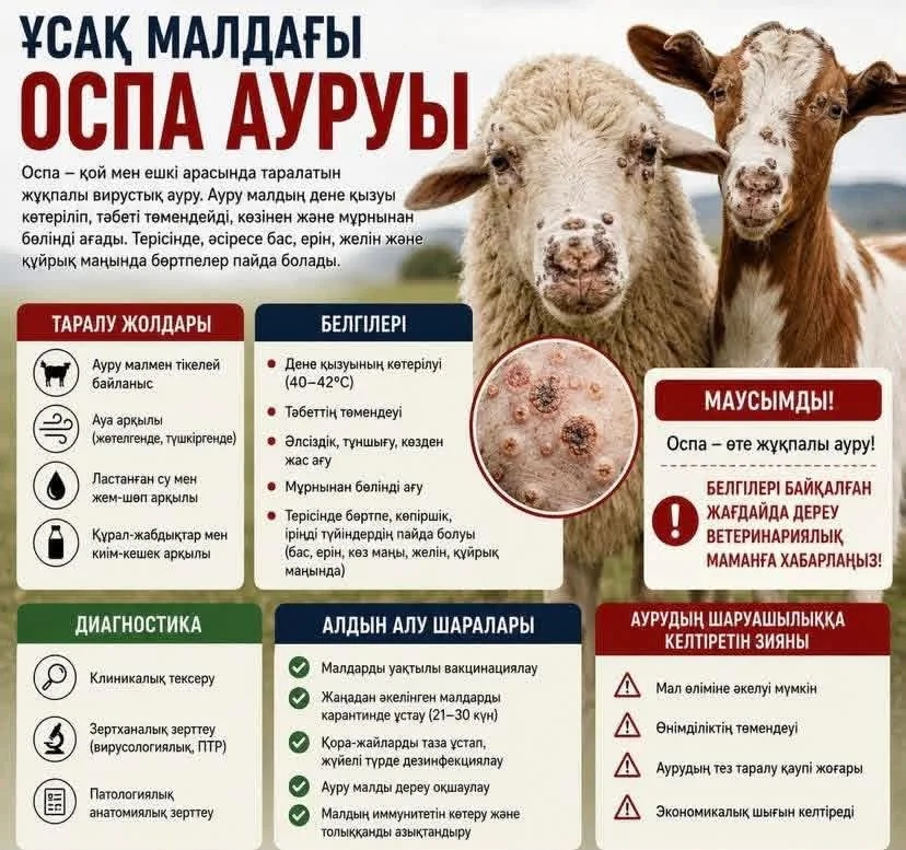 Оспа ауруы