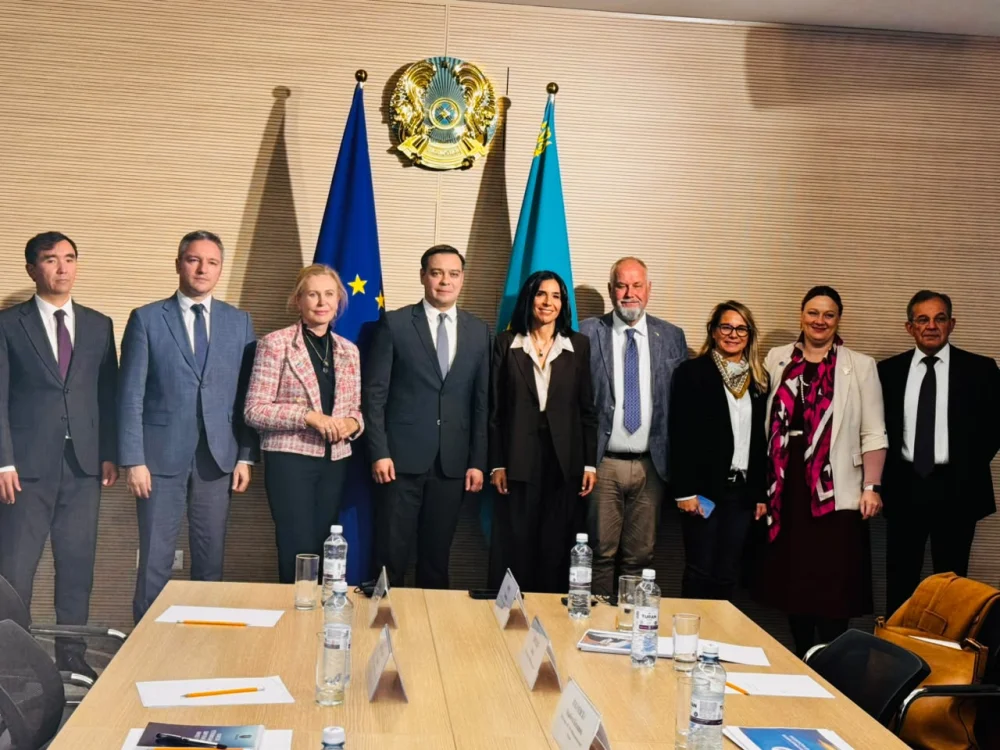 Омбудсмен Еуропарламент депутаттарымен кездесті — Фотосурет 1