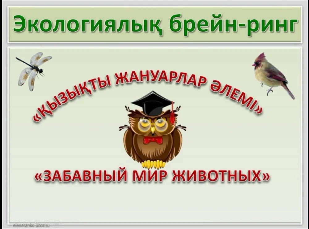 «ҚЫЗЫҚТЫ ЖАНУАРЛАР ӘЛЕМІ» АУДАНДЫҚ БРЕЙН-РИНГІ ӨТТІ — Фотосурет 1