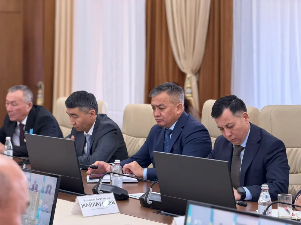 «Президент Жолдауы аясында Ұлытау облысының әлеуметтік-экономикалық дамуына басымдық беріледі» — Фотосурет 4