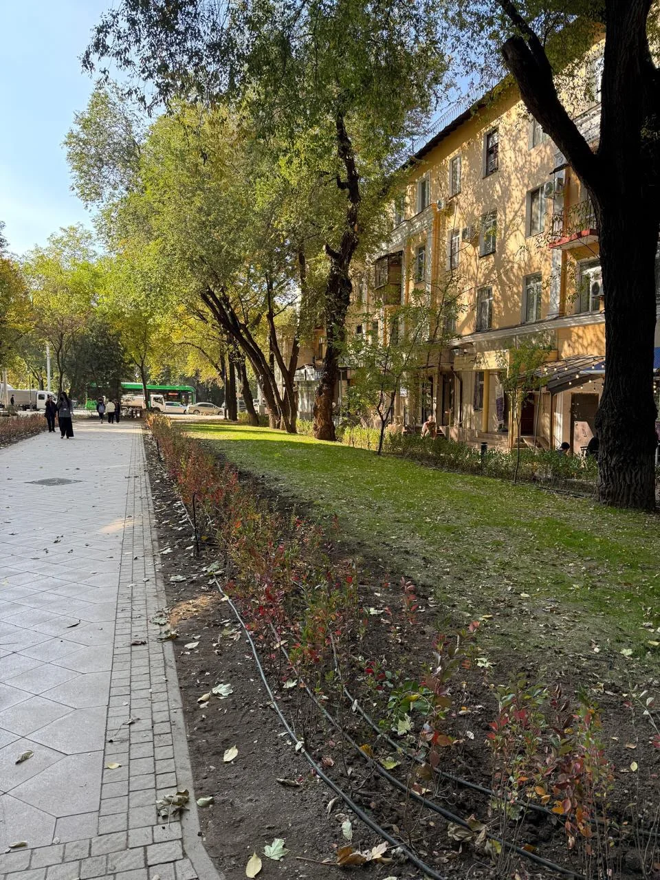 Алматыда Қарасай батыр көшесінің бойында біртұтас жүргіншілер аймағы жасалып жатыр — Фотосурет 6