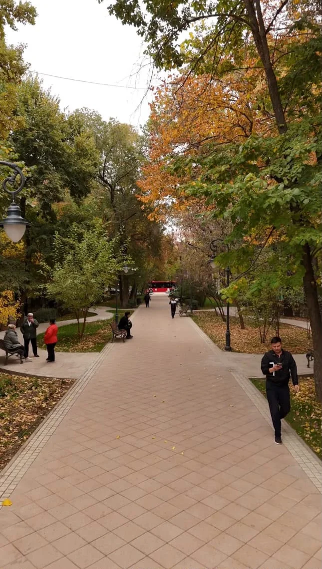 Алматыда Қарасай батыр көшесінің бойында біртұтас жүргіншілер аймағы жасалып жатыр — Фотосурет 4