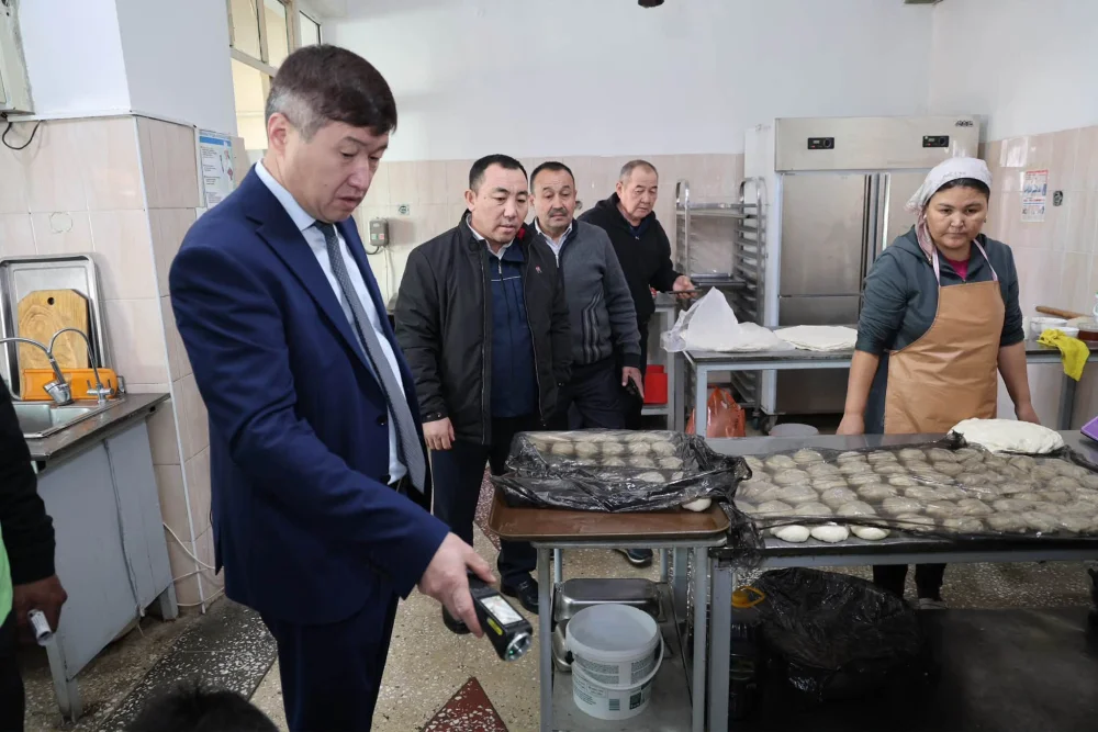 ТҰРҒЫНДАРҒА ГАЗДАН УЛАНУДЫҢ АЛДЫН АЛУ БОЙЫНША ТҮСІНДІРУ ЖҰМЫСТАРЫ ЖҮРГІЗІЛДІ — Фотосурет 12